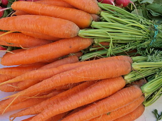 A bunch of carrots from the market 