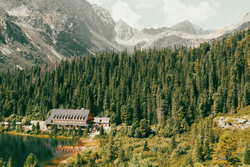 Wooden cottage in the mountains and green coniferous forest against the backdrop of pale gray...