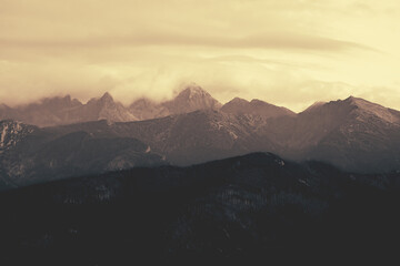 Forest on hills and mountains in clouds and fog