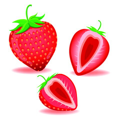 Strawberrie fruit set collections cartoon. Design element for label and poster.
 