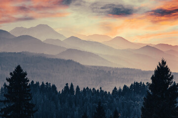 Obraz premium Hills and mountains landscape in clouds and fog at sunset.