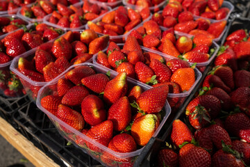 Fresh red strawberries in the bazaar close-up.