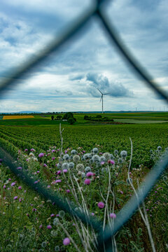 Windmill landscape with fence and nature.