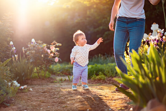 A Cute Little Kid Looks At His Mom And Reaches Out To Her. In The Background, A Summer Garden And Flowering Shrubs. Happy Children's Day