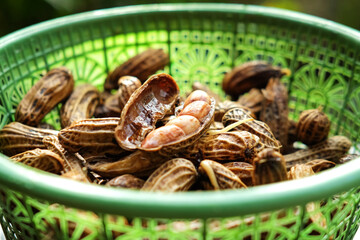 Closeup of peanuts in basket after boiling