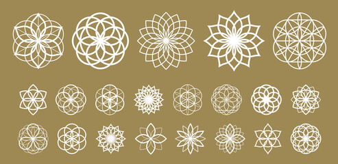 Flower of life vector ancient esoteric symbol big vector set.