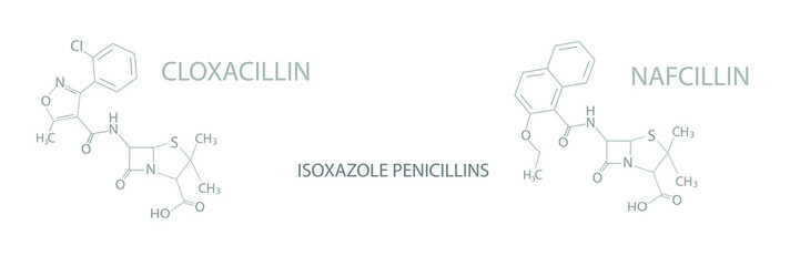 Isoxazole penicillins  molecular skeletal chemical formula.