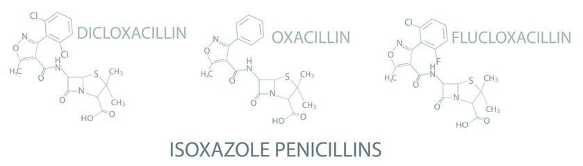 Isoxazole penicillins molecular skeletal chemical formula.