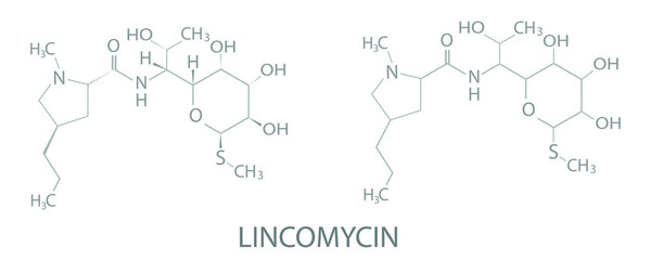 Fototapeta premium Lincomycin molecular skeletal chemical formula.