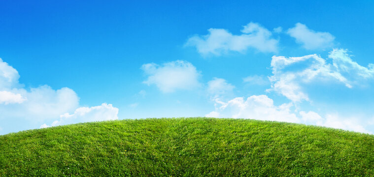 spring green grass field landscape and blue sky background