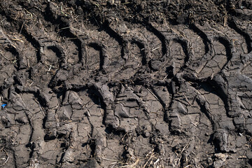 Tire tracks protector on dirt. Wheel's trail tread, close up.