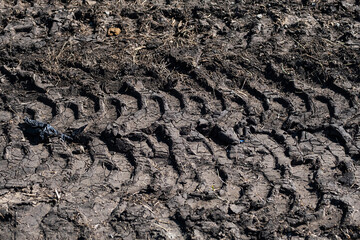 Tire tracks protector on dirt. Wheel's trail tread, close up.