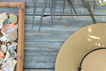 Empty space template with shells and hat on woodwn backdrop