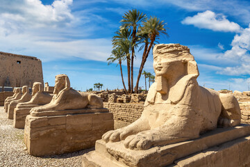 Sphinx Allee in Luxor, Egypt