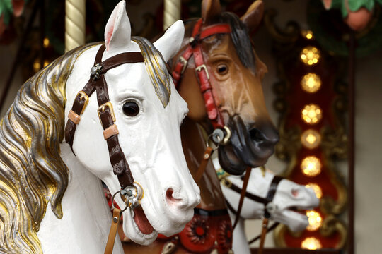 Vintage carousel horses closeup in amusement park on festive fair