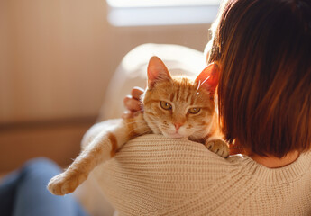 Young asian woman wears warm sweater resting with tabby cat on sofa at home one autumn day. Indoor shot of amazing lady holding ginger pet. Morning sleep time at home. Soft focus.