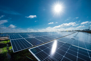Solar field with solar panels under the sun, photovoltaic, alternative electricity source - green...