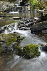 A stream in the East Wood Crackington Haven Cornwall
