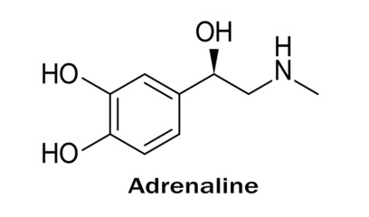 Molecular formula of adrenaline, structure of molecule on white background