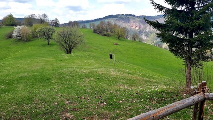 Green meadow covered with flowers and trees on mountain Ozren near Sarajevo, Bosnia and Herzegovina