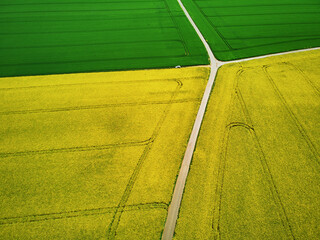 Aerial drone view of yellow rapeseed fields in Ile-de-France, France