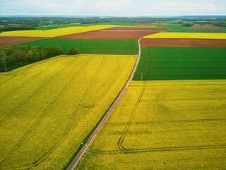 Fototapeta premium Aerial drone view of yellow rapeseed fields in Ile-de-France, France