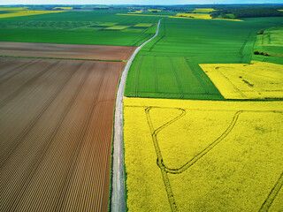 Aerial drone view of yellow rapeseed fields in Ile-de-France, France