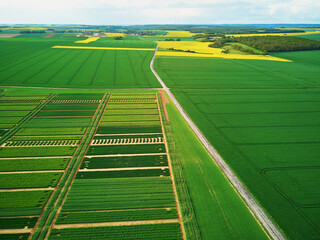 Aerial drone view of green and yellow fields in Ile-de-France, France