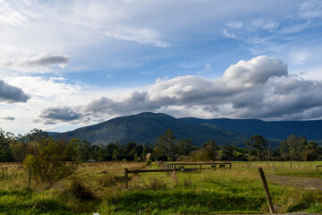 Fototapeta na wymiar Yarra Glen Landscape, Victoria, Australia