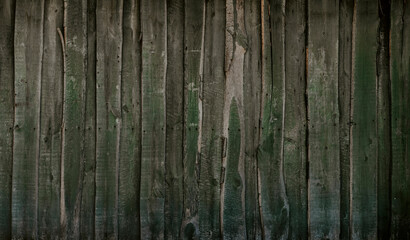 Old Green Painted Wood Wall Fence Texture Shabby Surface. 