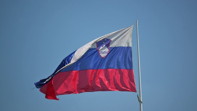 Slovenia National Flag Waving on pole