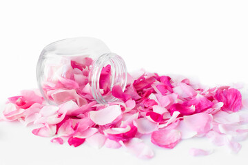 Pink rose petals in a glass container.Ingredients for natural cosmetics, oils and jams, on white background