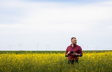 Middle age farmer standing in rapeseed field with digital tablet examining crop.