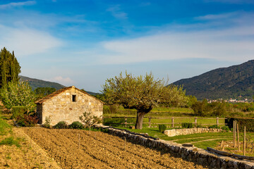 Fototapeta na wymiar Barn in vineyard in croatian valley. Early summer.