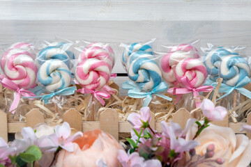 Coloured sweet lollypops with bows. Sugar candy on sticks in shop window, lollipops.