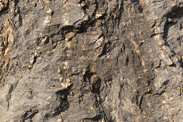 Abstract stone background. The texture of the stone rock. Close-up. Light gray rock backdrop.