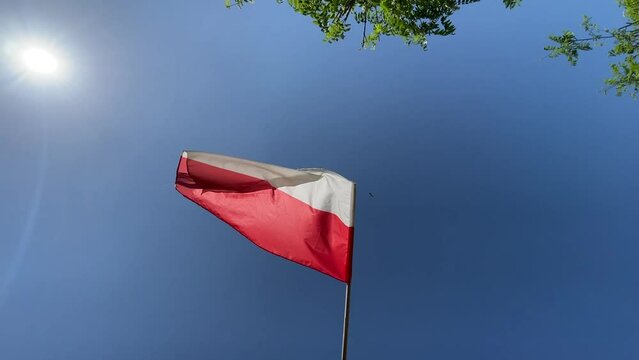 polish red and white flag on blue sky