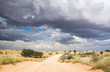 Kalahari Rainclouds - obrazy, fototapety, plakaty