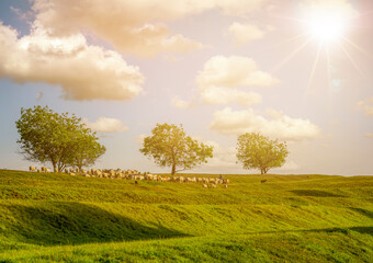 Naklejka premium landscape with shepherd and sheep