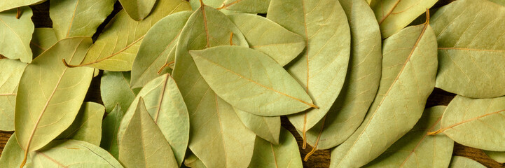 Dry bay leaves panorama. Laurel leaf panoramic banner. Culinary herb