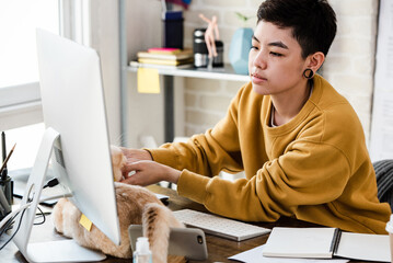 Young Asian tomboy woman in casual attire looking at computer while working from home with cat on...