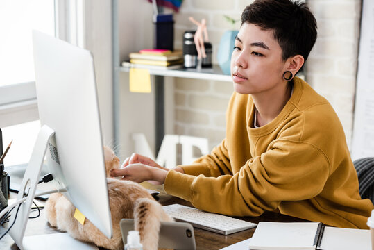 Young Asian tomboy woman in casual attire looking at computer while working from home with cat on the table in living room