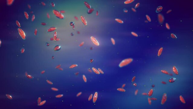 Mitochondria are cellular organelles found in most eukaryotic organisms. Adenosine triphosphate (ATP) is generated in mitochondria and is a source of chemical energy