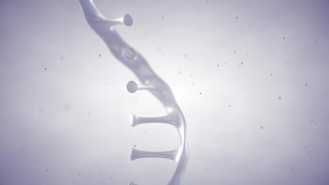 Animation of moving single strand ribonucleic acid molecule on white background. RNA research and therapy concept	