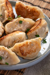 Pan-fried gyoza dumpling jiaozi in a plate with soy sauce on gray table background.