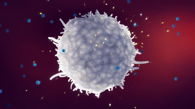 Animation of macrophage releasing cytokines as a part of the body immune response to viral infection. A cytokine storm is the overproduction of cytokines which can lead to organ failure or even death