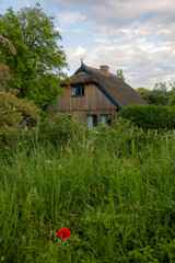 Traditional wooden house with reed hatched roof in nature overgrown surrounding