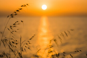 Warmes Abendlicht am Strand