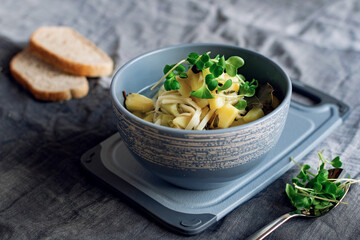Soup noodles with potatoes and radish microgreens, homemade liquid hot food in broth, gray dishes and light serving on a tablecloth, next to bread with bran
