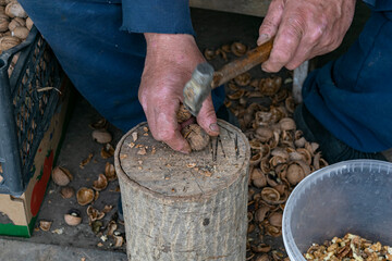 Nuts. Walnut kernels and whole walnuts. Walnuts organic. Top view. Walnut healthy food. break walnuts with hammer on wood. photo series